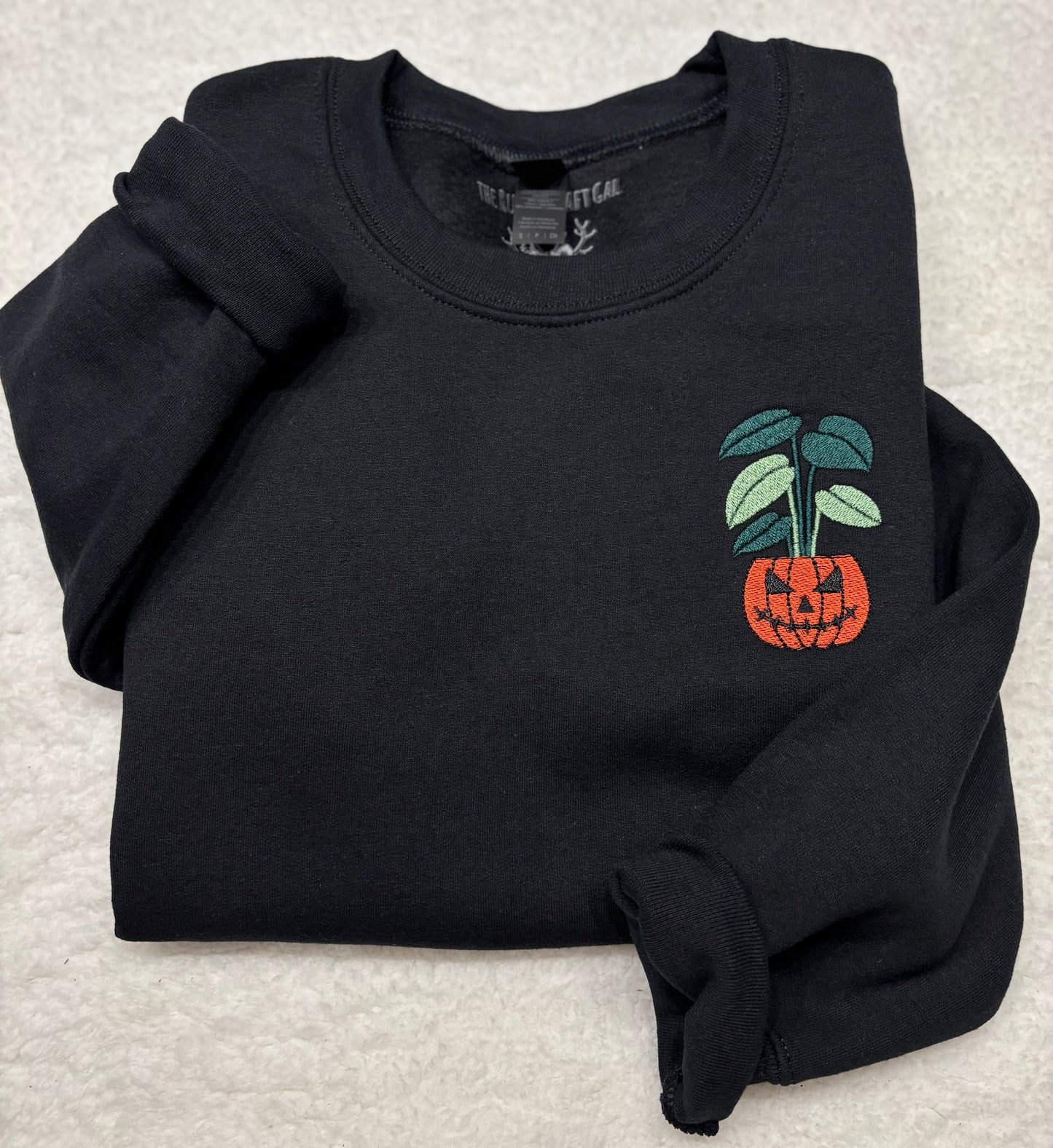 Pumpkin Plant