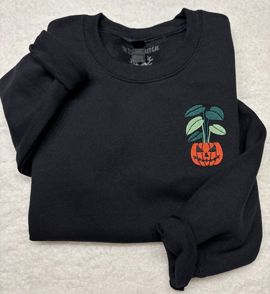 Pumpkin Plant